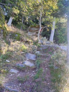 Photo de v.stein le long du parcours