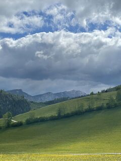 Photo de Andrea Bleier le long du parcours