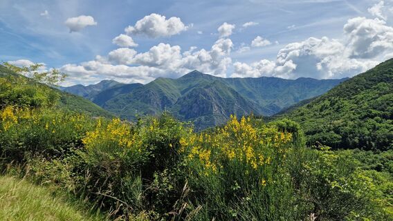 Photo de Fabrizi Mellano le long du parcours