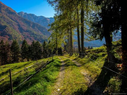 Am Zubringer zum Panoramaweg Südalpen