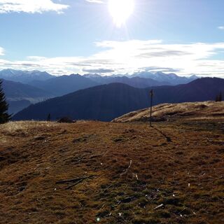 Weg führt über gemütlichen Almboden