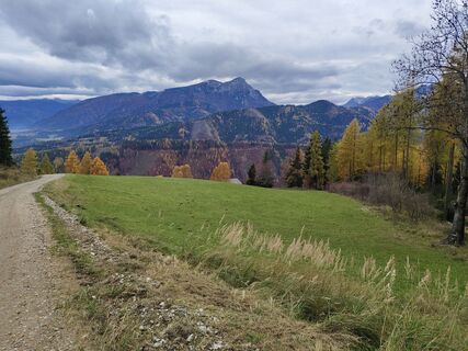 Fotografia z Edit Beliczai na trase