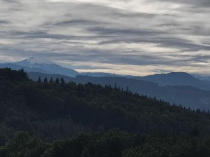 Фото с сайта Jürgen Mück во время экскурсии