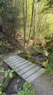 Photo de Peter Burki le long du parcours