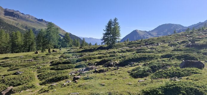 Photo de David Bubenheim le long du parcours