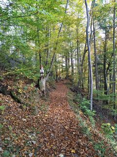 Foto fra Wanderkatze undervejs på turen