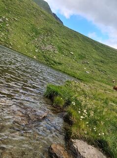 Foto von Sonja Stockreiter entlang der Tour