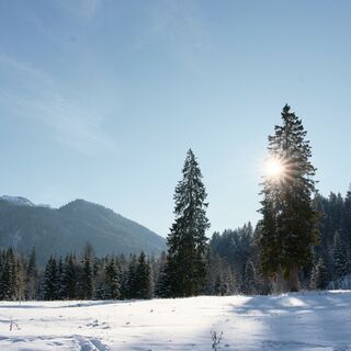 Winter am Spitzing