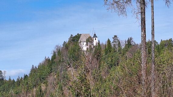 Photo from Gerhard Edermayer along the tour