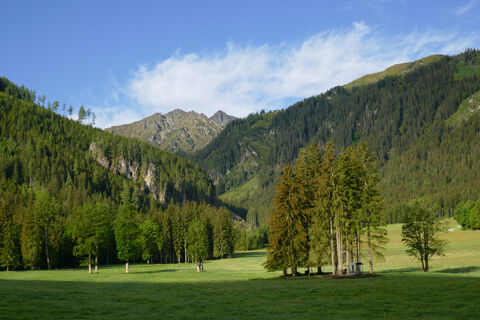 Blick zum Sonntagskogel