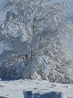 Fotografia z Jan Wojciechowski 1 na trase