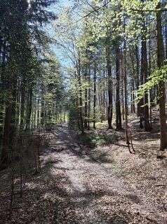 Fotografija s spletne strani Andi na poti