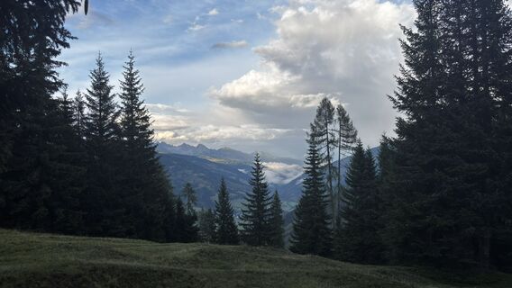 Foto von sagal entlang der Tour