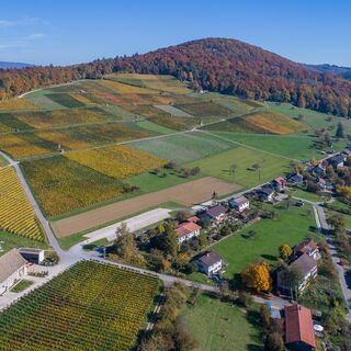 Osterfingen