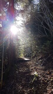 Rauf zum Sporiroaofen