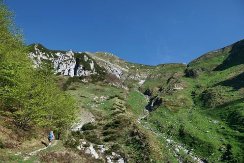 Die ehemalige Alm Zajavor, es gibt keine Hirtenhütten mehr.