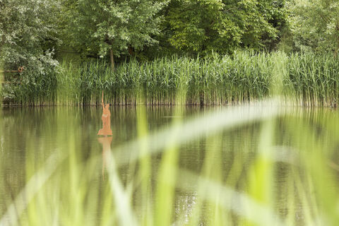Hermann im Teich CC BY-SA - LTM.jpg