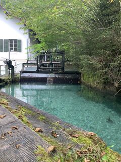 Foto van Ingo Fischer langs de tour