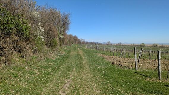 Fotografija s spletne strani Edero na poti