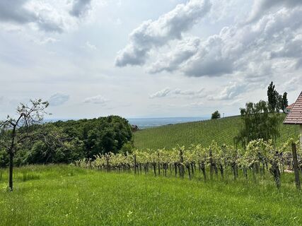 Foto von Walter Koch 4 entlang der Tour