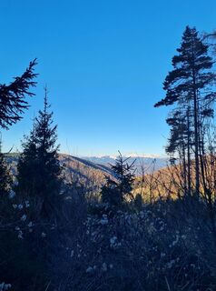 Foto de Tamara Schwarz 2 a lo largo del recorrido