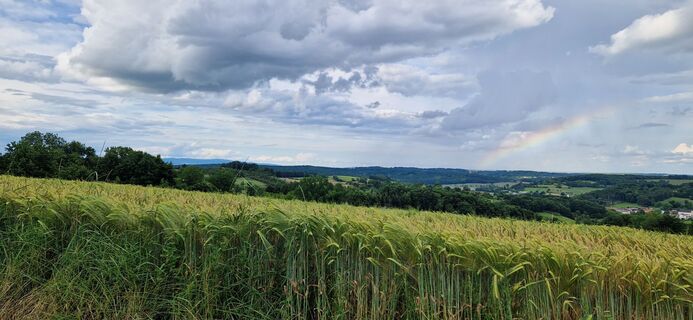 Foto von Utassy Tóth Johanna entlang der Tour