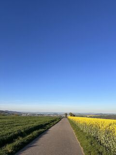 Foto de Niklas a lo largo del recorrido