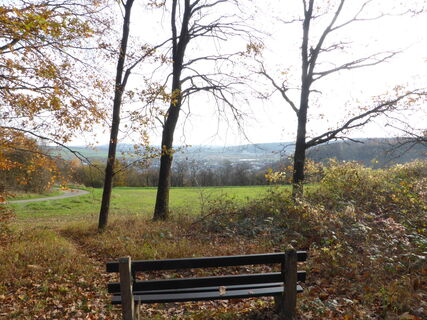 Blick vom Selsberg auf Beverungen