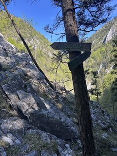 Fotografija s spletne strani Carola Krems na poti