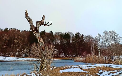 Weiher oberhalb von Arnstetten