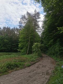Foto von Grzybek entlang der Tour