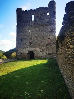 Foto von Waldläufer entlang der Tour