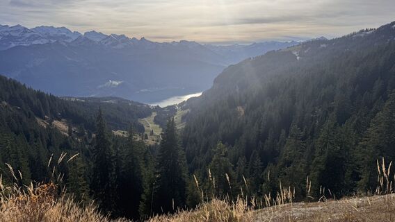 Foto von peter_oe entlang der Tour