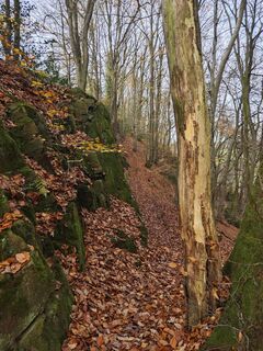 Fotografija s spletne strani Björn Heun na poti