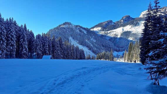 Foto de Regina Fleischmann a lo largo del recorrido