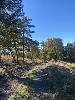 Foto de Gábor Kovács 9 a lo largo del recorrido