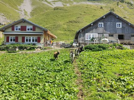 Foto von Darius Amarapura entlang der Tour