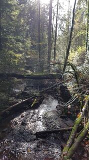 Foto von Martina Bürkle entlang der Tour