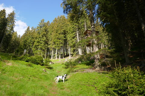 Los gehts bei Sonne