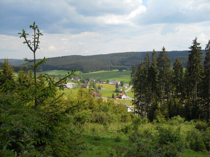 Blick auf Schollach