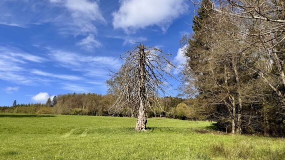 Fotografija s spletne strani Les aventures de Ghislain na poti