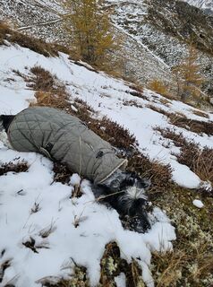 Foto da Jule lungo il tour