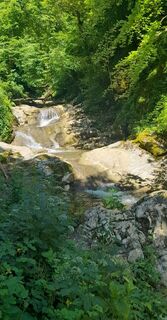 Fotografie z Milena Dragoš na trase