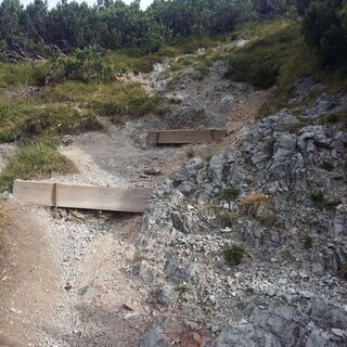 Schotterweg durch das Latschengebiet