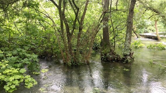 Foto von Lomalinda entlang der Tour