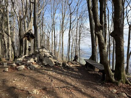 Zdjęcie z RoKo Activity - Guide wzdłuż trasy