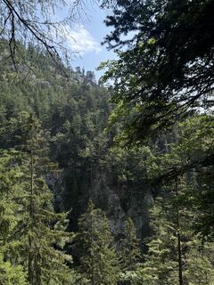 Photo de Lukas Geissler le long du parcours