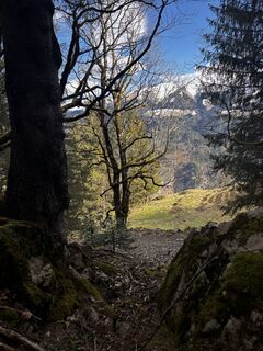 Foto von Jacqueline Fetz entlang der Tour