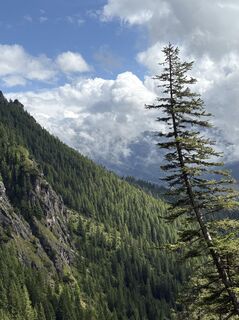 Foto da Fabio Cosma lungo il tour