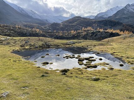 Fotografija s spletne strani Marina I na poti
